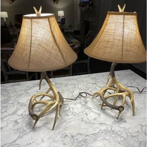 Deer antler lamps